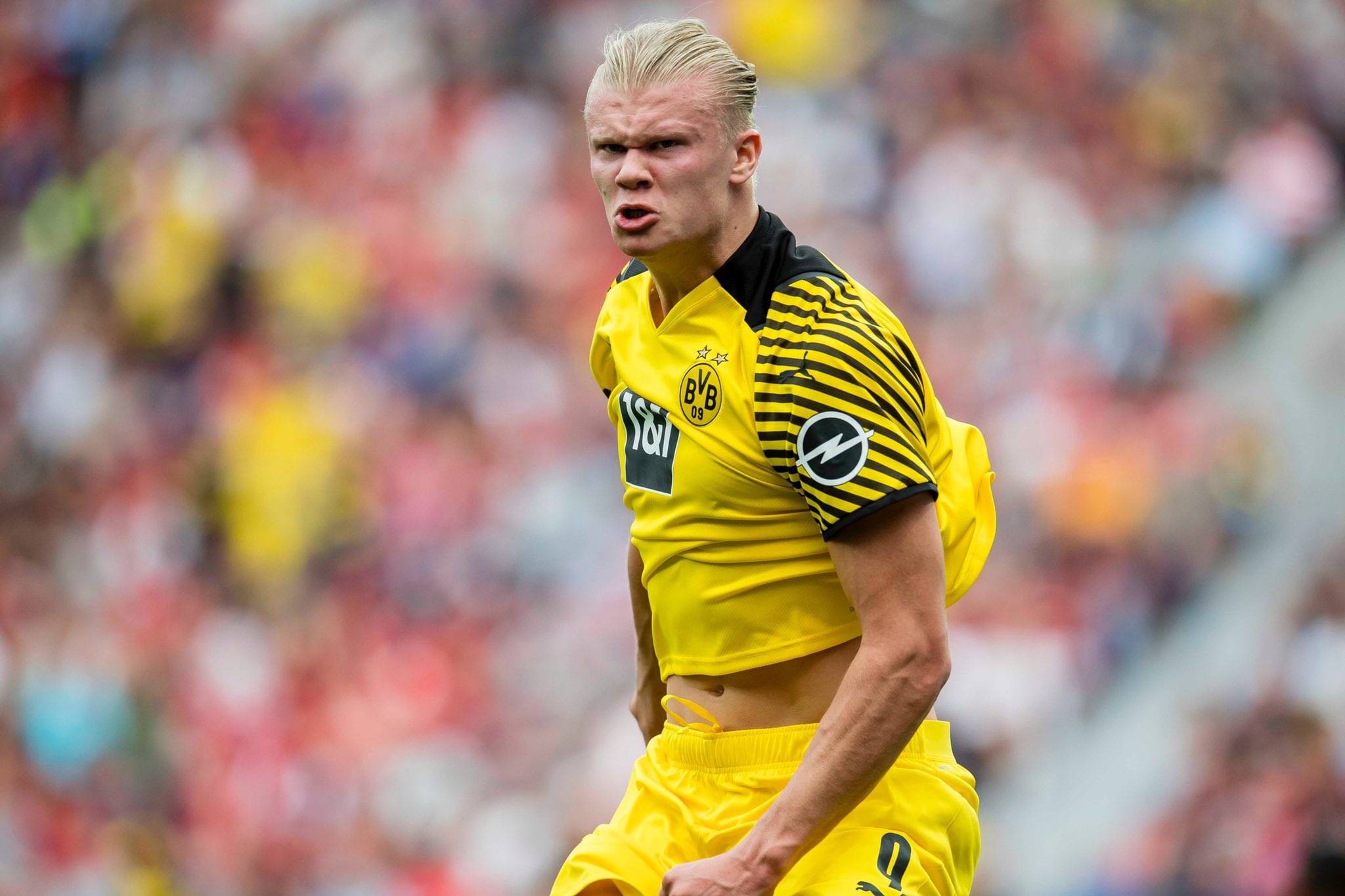 定点输出 定点输出